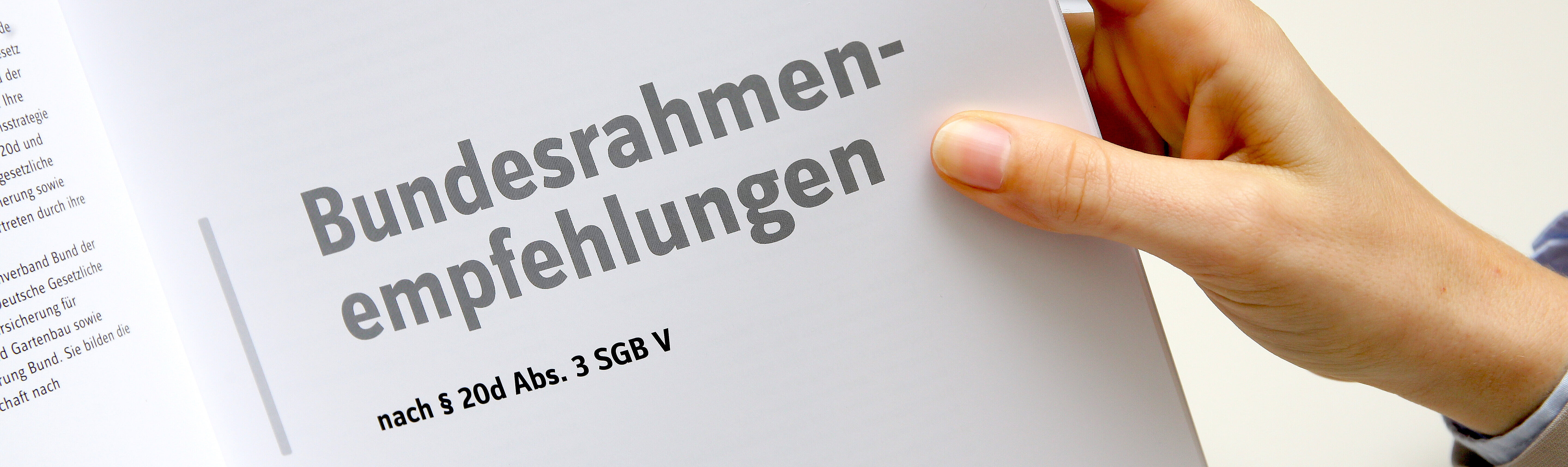 Bundesrahmenempfehlung - Ansicht eines Exemplares